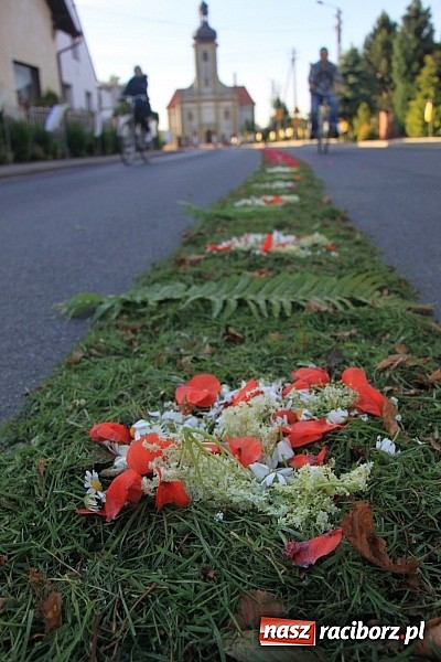 Zdjęcie w galerii na portalu naszraciborz.pl: W Wojnowicach powstały piękne dywany z kwiat&oacute;w wiadomości z regionu