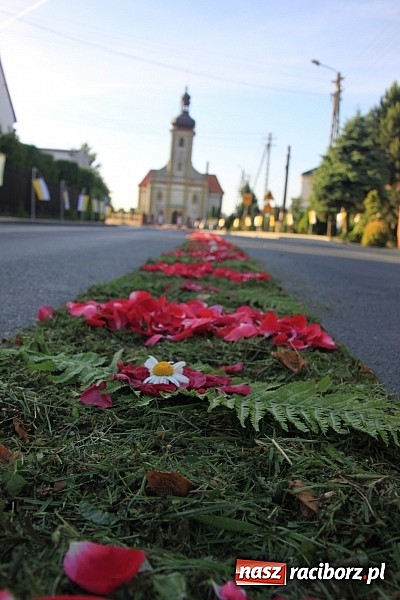 Zdjęcie w galerii na portalu naszraciborz.pl: W Wojnowicach powstały piękne dywany z kwiat&oacute;w wiadomości z regionu