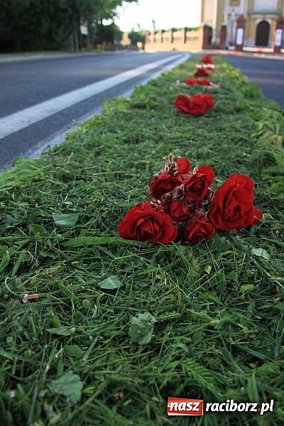 Zdjęcie w galerii na portalu naszraciborz.pl: W Wojnowicach powstały piękne dywany z kwiat&oacute;w wiadomości z regionu