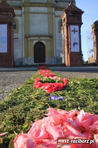 Zdjęcie w galerii na portalu naszraciborz.pl: W Wojnowicach powstały piękne dywany z kwiat&oacute;w wiadomości z regionu
