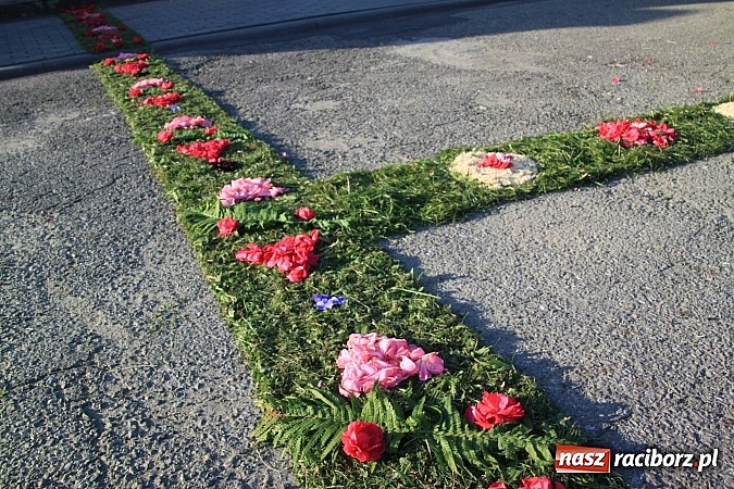 Zdjęcie w galerii na portalu naszraciborz.pl: W Wojnowicach powstały piękne dywany z kwiat&oacute;w wiadomości z regionu