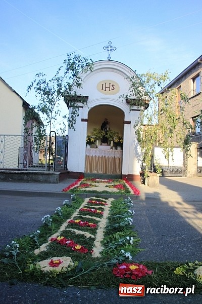 Zdjęcie w galerii na portalu naszraciborz.pl: W Wojnowicach powstały piękne dywany z kwiat&oacute;w wiadomości z regionu