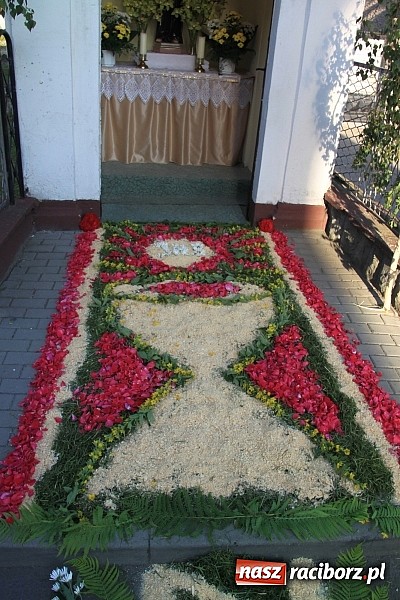 Zdjęcie w galerii na portalu naszraciborz.pl: W Wojnowicach powstały piękne dywany z kwiat&oacute;w wiadomości z regionu