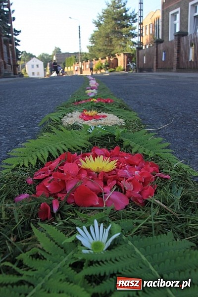 Zdjęcie w galerii na portalu naszraciborz.pl: W Wojnowicach powstały piękne dywany z kwiat&oacute;w wiadomości z regionu