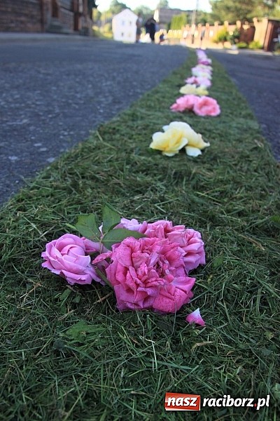 Zdjęcie w galerii na portalu naszraciborz.pl: W Wojnowicach powstały piękne dywany z kwiat&oacute;w wiadomości z regionu