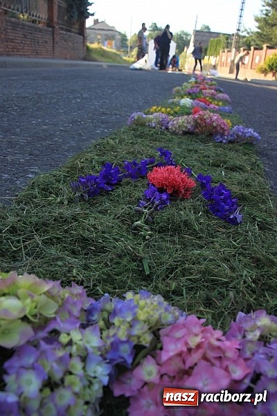 Zdjęcie w galerii na portalu naszraciborz.pl: W Wojnowicach powstały piękne dywany z kwiat&oacute;w wiadomości z regionu