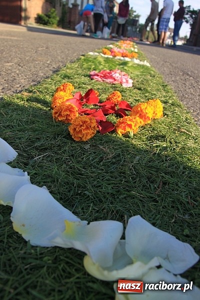 Zdjęcie w galerii na portalu naszraciborz.pl: W Wojnowicach powstały piękne dywany z kwiat&oacute;w wiadomości z regionu
