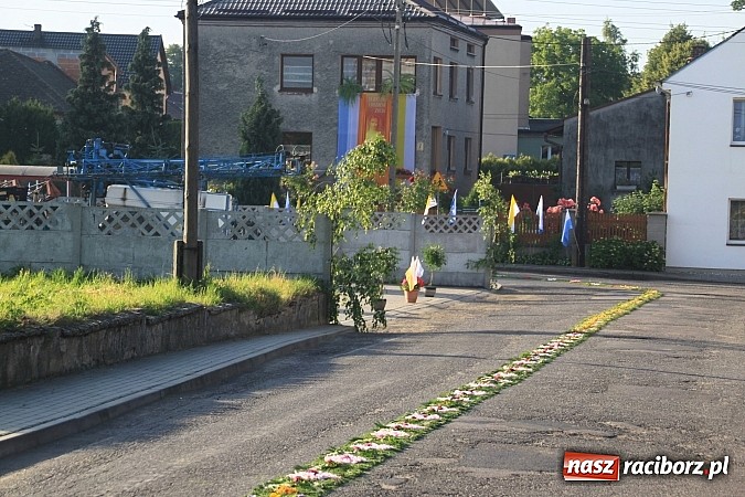 Zdjęcie w galerii na portalu naszraciborz.pl: W Wojnowicach powstały piękne dywany z kwiat&oacute;w wiadomości z regionu