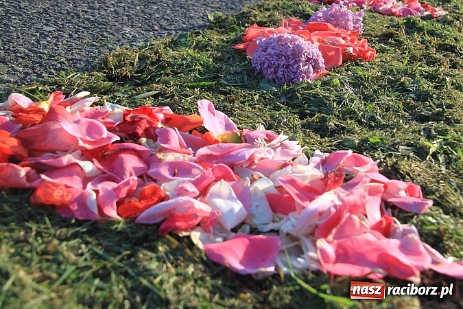 Zdjęcie w galerii na portalu naszraciborz.pl: W Wojnowicach powstały piękne dywany z kwiat&oacute;w wiadomości z regionu