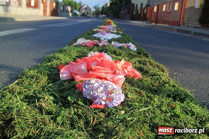 Zdjęcie w galerii na portalu naszraciborz.pl: W Wojnowicach powstały piękne dywany z kwiat&oacute;w wiadomości z regionu