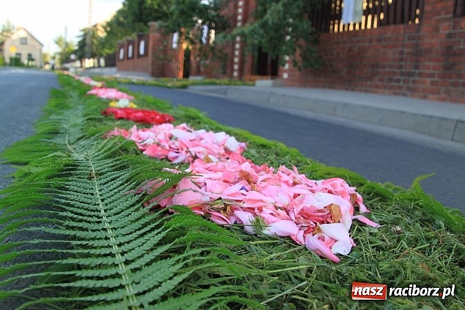 Zdjęcie w galerii na portalu naszraciborz.pl: W Wojnowicach powstały piękne dywany z kwiat&oacute;w wiadomości z regionu