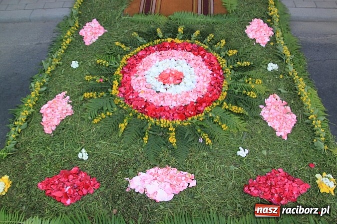 Zdjęcie w galerii na portalu naszraciborz.pl: W Wojnowicach powstały piękne dywany z kwiat&oacute;w wiadomości z regionu
