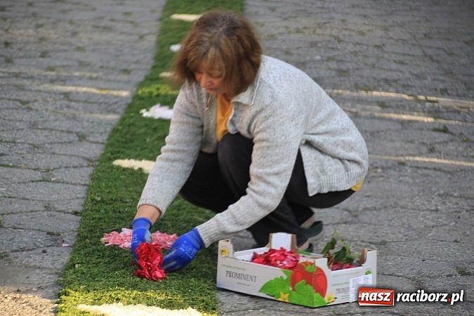 Zdjęcie w galerii na portalu naszraciborz.pl: W Wojnowicach powstały piękne dywany z kwiat&oacute;w wiadomości z regionu