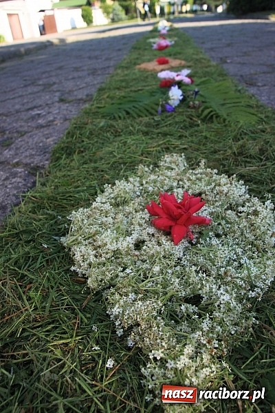 Zdjęcie w galerii na portalu naszraciborz.pl: W Wojnowicach powstały piękne dywany z kwiat&oacute;w wiadomości z regionu