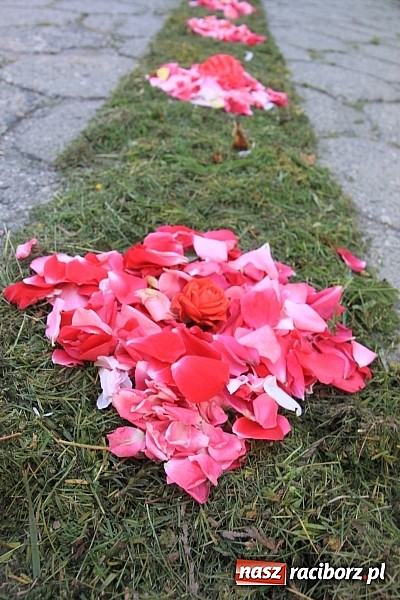 Zdjęcie w galerii na portalu naszraciborz.pl: W Wojnowicach powstały piękne dywany z kwiat&oacute;w wiadomości z regionu
