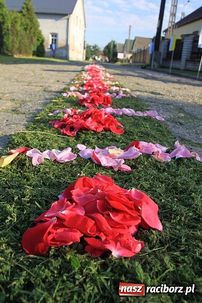 Zdjęcie w galerii na portalu naszraciborz.pl: W Wojnowicach powstały piękne dywany z kwiat&oacute;w wiadomości z regionu
