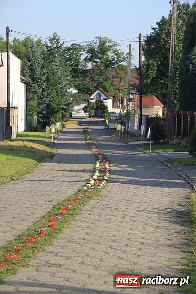 Zdjęcie w galerii na portalu naszraciborz.pl: W Wojnowicach powstały piękne dywany z kwiat&oacute;w wiadomości z regionu