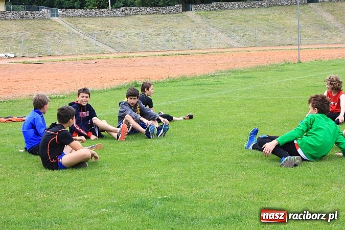 Zdjęcie w galerii na portalu naszraciborz.pl: OSiR: Sportowa olimpiada dzieci i młodzieży wiadomości z regionu