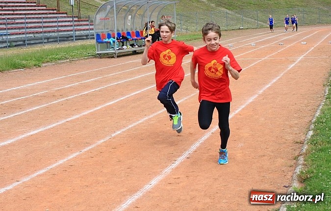 Zdjęcie w galerii na portalu naszraciborz.pl: OSiR: Sportowa olimpiada dzieci i młodzieży wiadomości z regionu