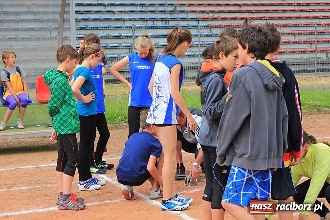 Zdjęcie w galerii na portalu naszraciborz.pl: OSiR: Sportowa olimpiada dzieci i młodzieży wiadomości z regionu