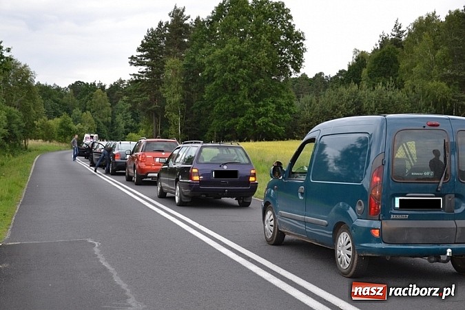 Zdjęcie w galerii na portalu naszraciborz.pl: Kierująca motocyklem wypadła z drogi przed Jankowicami wiadomości z regionu