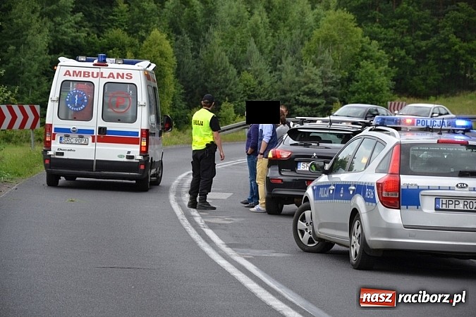 Zdjęcie w galerii na portalu naszraciborz.pl: Kierująca motocyklem wypadła z drogi przed Jankowicami wiadomości z regionu