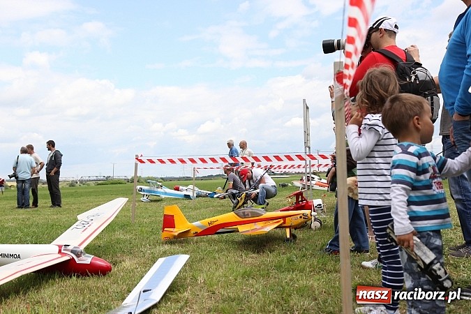Zdjęcie w galerii na portalu naszraciborz.pl: Latać każdy może, czyli VII Międzynarodowy Piknik Modelarski w Raciborzu wiadomości z regionu