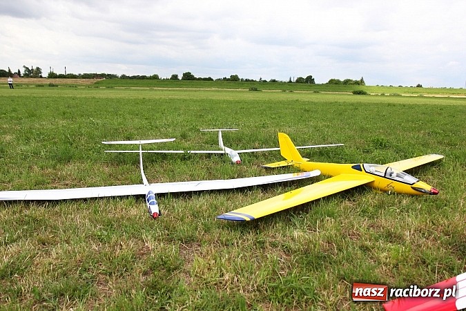 Zdjęcie w galerii na portalu naszraciborz.pl: Latać każdy może, czyli VII Międzynarodowy Piknik Modelarski w Raciborzu wiadomości z regionu