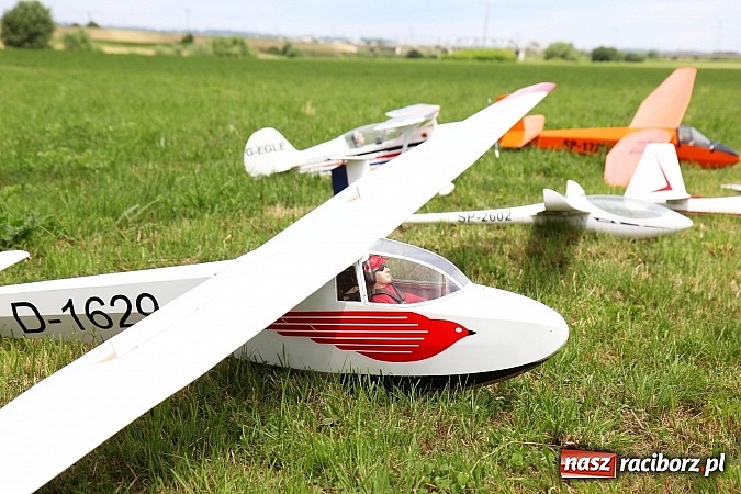 Zdjęcie w galerii na portalu naszraciborz.pl: Latać każdy może, czyli VII Międzynarodowy Piknik Modelarski w Raciborzu wiadomości z regionu