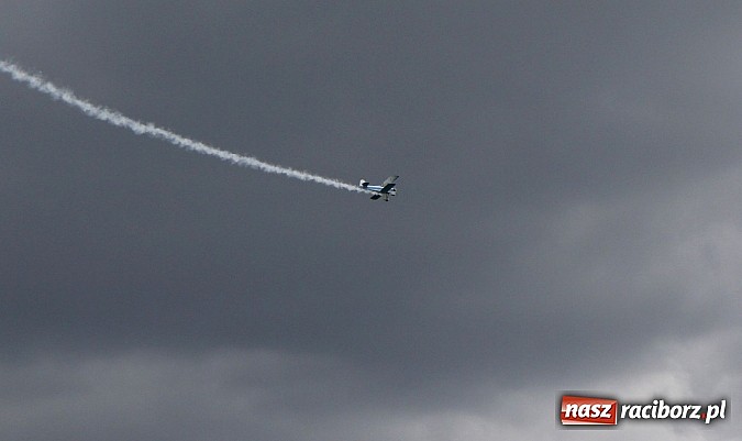 Zdjęcie w galerii na portalu naszraciborz.pl: Latać każdy może, czyli VII Międzynarodowy Piknik Modelarski w Raciborzu wiadomości z regionu