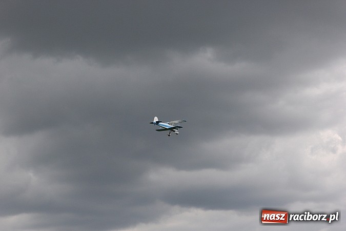 Zdjęcie w galerii na portalu naszraciborz.pl: Latać każdy może, czyli VII Międzynarodowy Piknik Modelarski w Raciborzu wiadomości z regionu