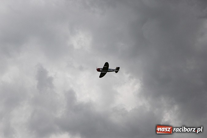 Zdjęcie w galerii na portalu naszraciborz.pl: Latać każdy może, czyli VII Międzynarodowy Piknik Modelarski w Raciborzu wiadomości z regionu