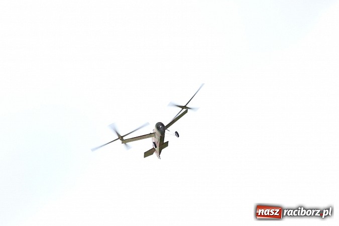 Zdjęcie w galerii na portalu naszraciborz.pl: Latać każdy może, czyli VII Międzynarodowy Piknik Modelarski w Raciborzu wiadomości z regionu
