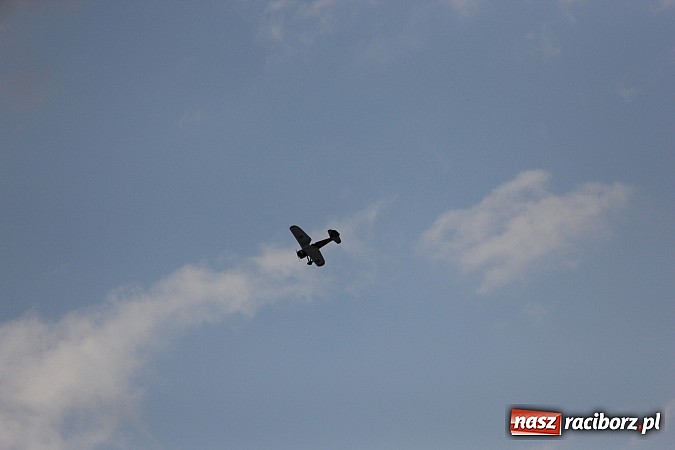 Zdjęcie w galerii na portalu naszraciborz.pl: Latać każdy może, czyli VII Międzynarodowy Piknik Modelarski w Raciborzu wiadomości z regionu