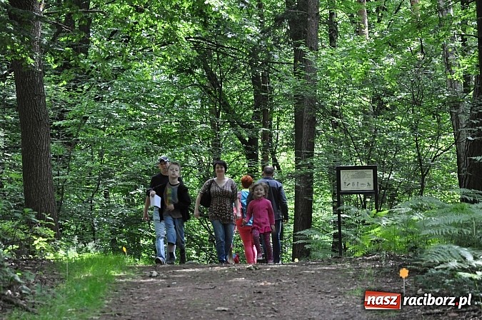 Zdjęcie w galerii na portalu naszraciborz.pl: II Bajkowy Las - spora frekwencja na leśnych duktach. Świetna zabawa na kempingu Obora wiadomości z regionu