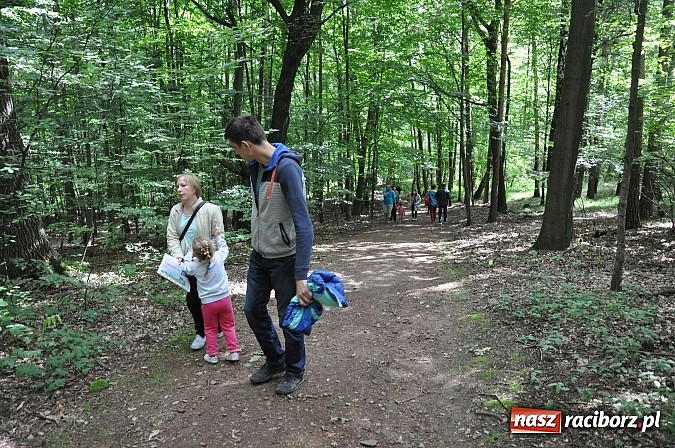Zdjęcie w galerii na portalu naszraciborz.pl: II Bajkowy Las - spora frekwencja na leśnych duktach. Świetna zabawa na kempingu Obora wiadomości z regionu