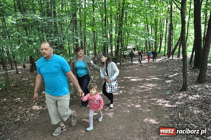 Zdjęcie w galerii na portalu naszraciborz.pl: II Bajkowy Las - spora frekwencja na leśnych duktach. Świetna zabawa na kempingu Obora wiadomości z regionu