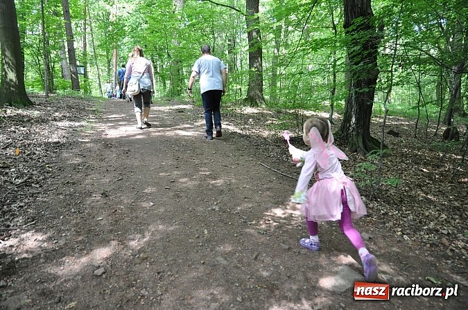Zdjęcie w galerii na portalu naszraciborz.pl: II Bajkowy Las - spora frekwencja na leśnych duktach. Świetna zabawa na kempingu Obora wiadomości z regionu