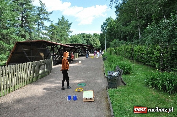 Zdjęcie w galerii na portalu naszraciborz.pl: II Bajkowy Las - spora frekwencja na leśnych duktach. Świetna zabawa na kempingu Obora wiadomości z regionu