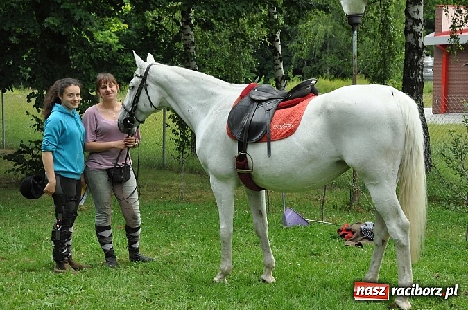 Zdjęcie w galerii na portalu naszraciborz.pl: II Bajkowy Las - spora frekwencja na leśnych duktach. Świetna zabawa na kempingu Obora wiadomości z regionu