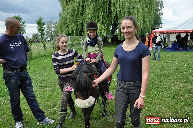 Zdjęcie w galerii na portalu naszraciborz.pl: II Bajkowy Las - spora frekwencja na leśnych duktach. Świetna zabawa na kempingu Obora wiadomości z regionu