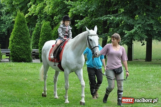 Zdjęcie w galerii na portalu naszraciborz.pl: II Bajkowy Las - spora frekwencja na leśnych duktach. Świetna zabawa na kempingu Obora wiadomości z regionu