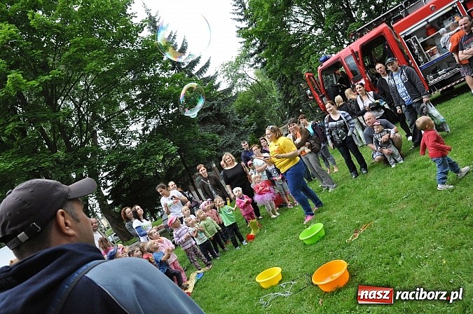 Zdjęcie w galerii na portalu naszraciborz.pl: II Bajkowy Las - spora frekwencja na leśnych duktach. Świetna zabawa na kempingu Obora wiadomości z regionu