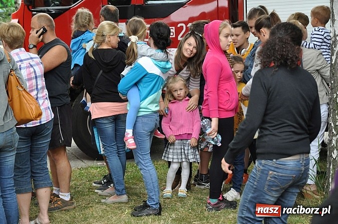 Zdjęcie w galerii na portalu naszraciborz.pl: II Bajkowy Las - spora frekwencja na leśnych duktach. Świetna zabawa na kempingu Obora wiadomości z regionu