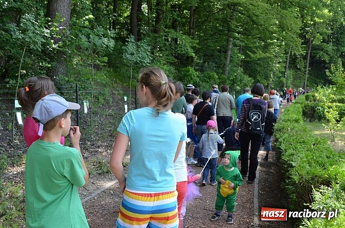 Zdjęcie w galerii na portalu naszraciborz.pl: II Bajkowy Las - spora frekwencja na leśnych duktach. Świetna zabawa na kempingu Obora wiadomości z regionu