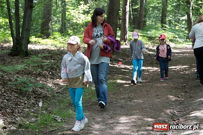 Zdjęcie w galerii na portalu naszraciborz.pl: II Bajkowy Las - spora frekwencja na leśnych duktach. Świetna zabawa na kempingu Obora wiadomości z regionu