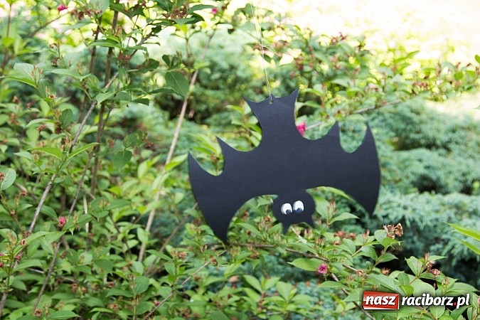 Zdjęcie w galerii na portalu naszraciborz.pl: II Bajkowy Las - spora frekwencja na leśnych duktach. Świetna zabawa na kempingu Obora wiadomości z regionu