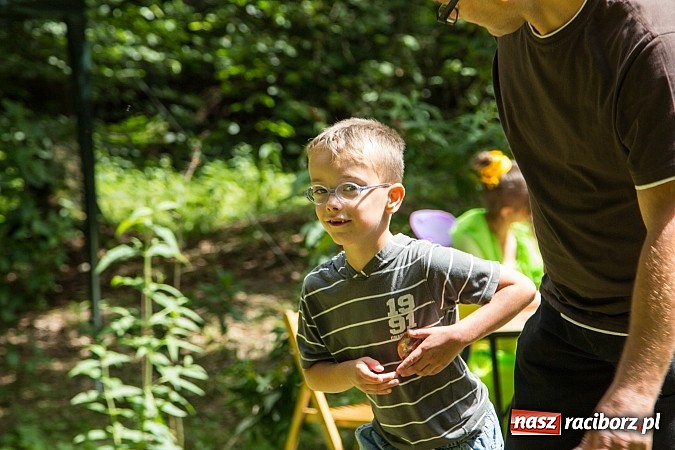 Zdjęcie w galerii na portalu naszraciborz.pl: II Bajkowy Las - spora frekwencja na leśnych duktach. Świetna zabawa na kempingu Obora wiadomości z regionu