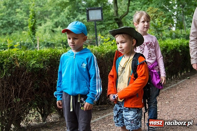 Zdjęcie w galerii na portalu naszraciborz.pl: II Bajkowy Las - spora frekwencja na leśnych duktach. Świetna zabawa na kempingu Obora wiadomości z regionu