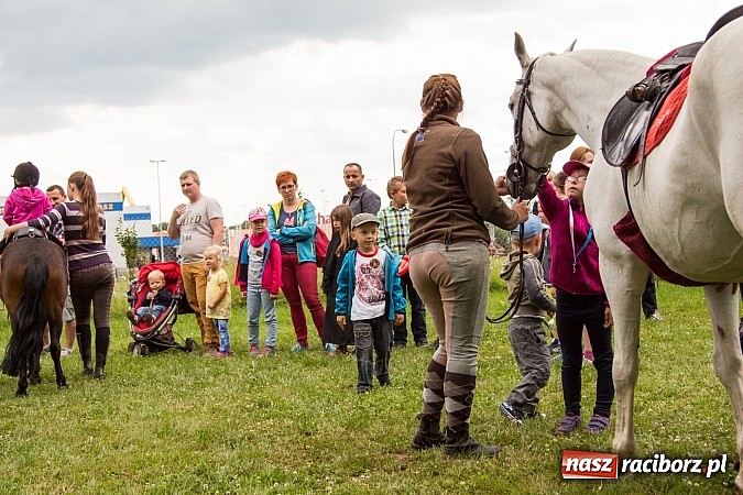Zdjęcie w galerii na portalu naszraciborz.pl: II Bajkowy Las - spora frekwencja na leśnych duktach. Świetna zabawa na kempingu Obora wiadomości z regionu